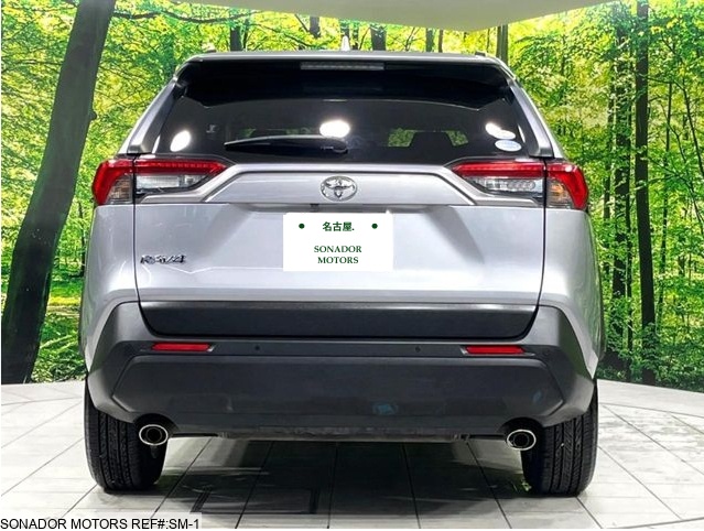 Toyota Rav4 2019